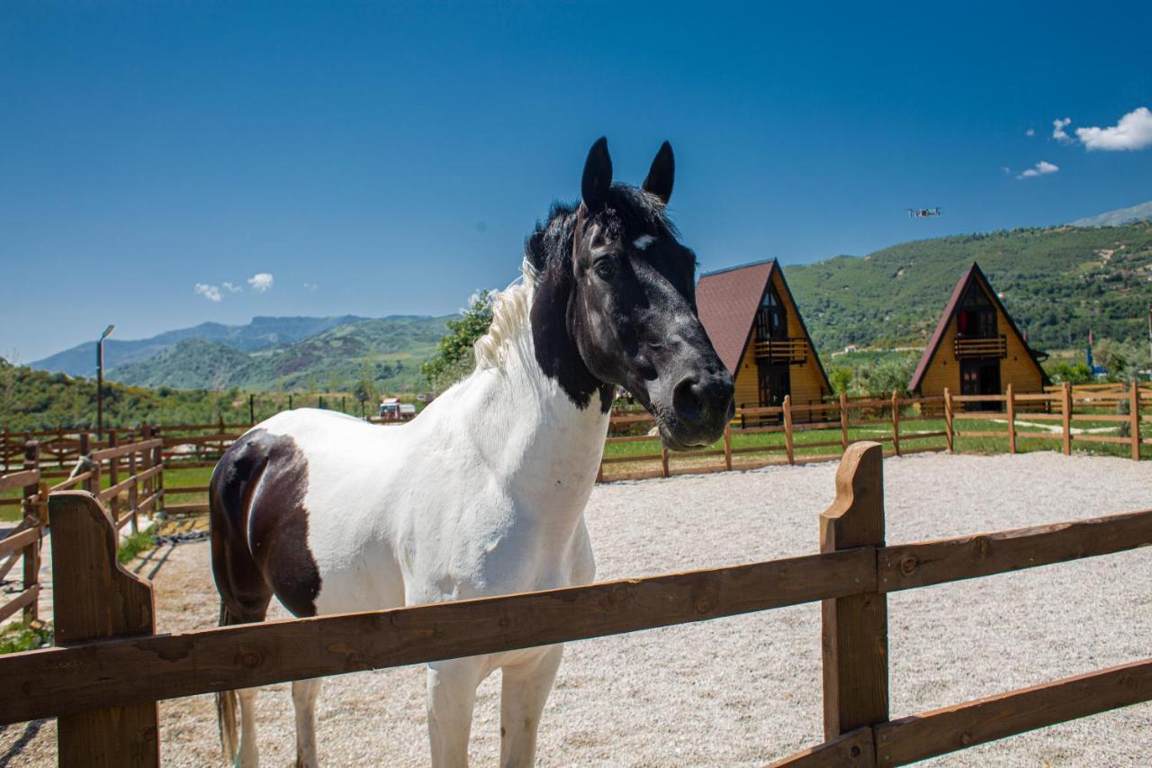 Вилла Sancho Farm Albania Memaliaj Экстерьер фото