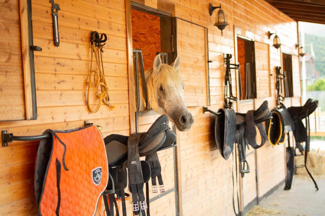 Вилла Sancho Farm Albania Memaliaj Экстерьер фото