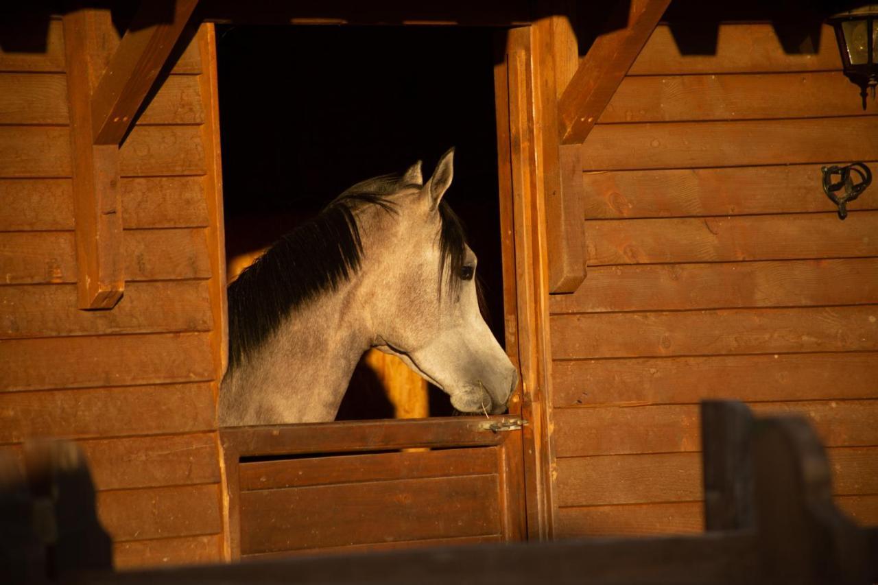 Вилла Sancho Farm Albania Memaliaj Экстерьер фото