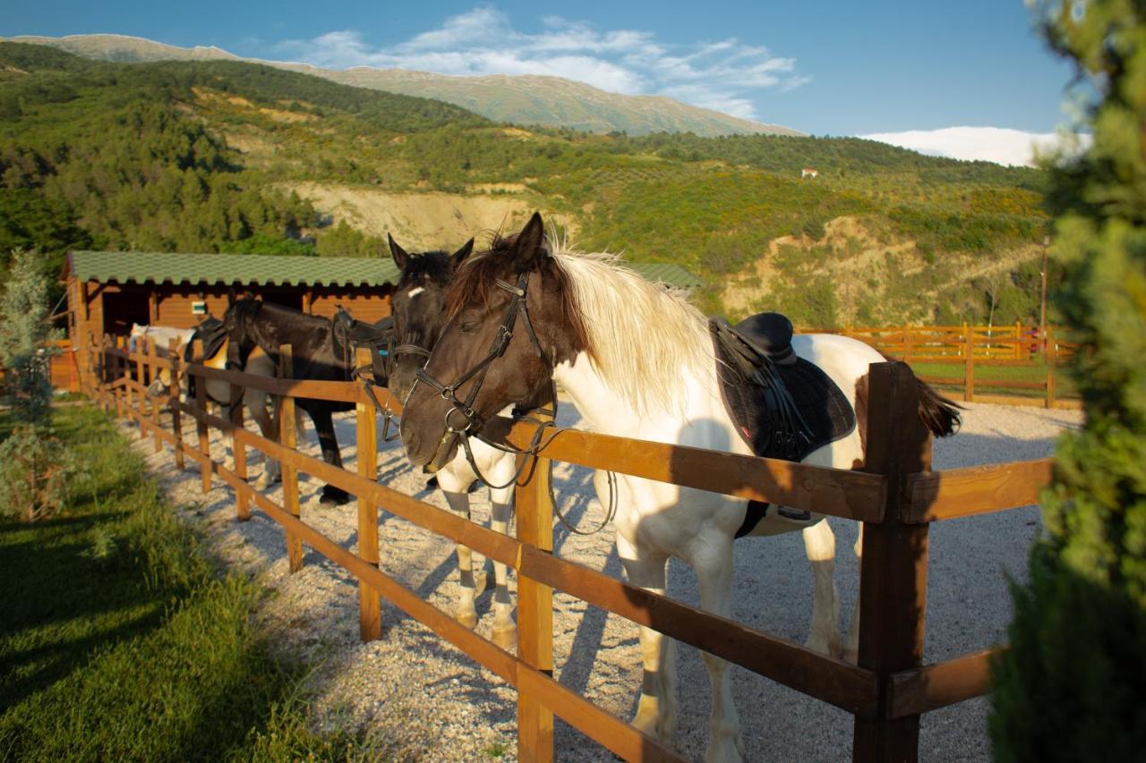 Вилла Sancho Farm Albania Memaliaj Экстерьер фото