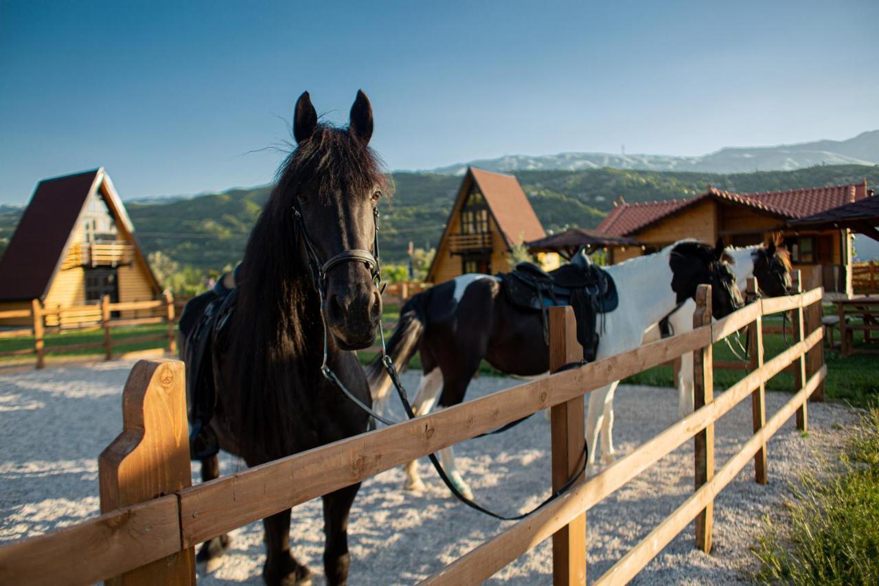 Вилла Sancho Farm Albania Memaliaj Экстерьер фото