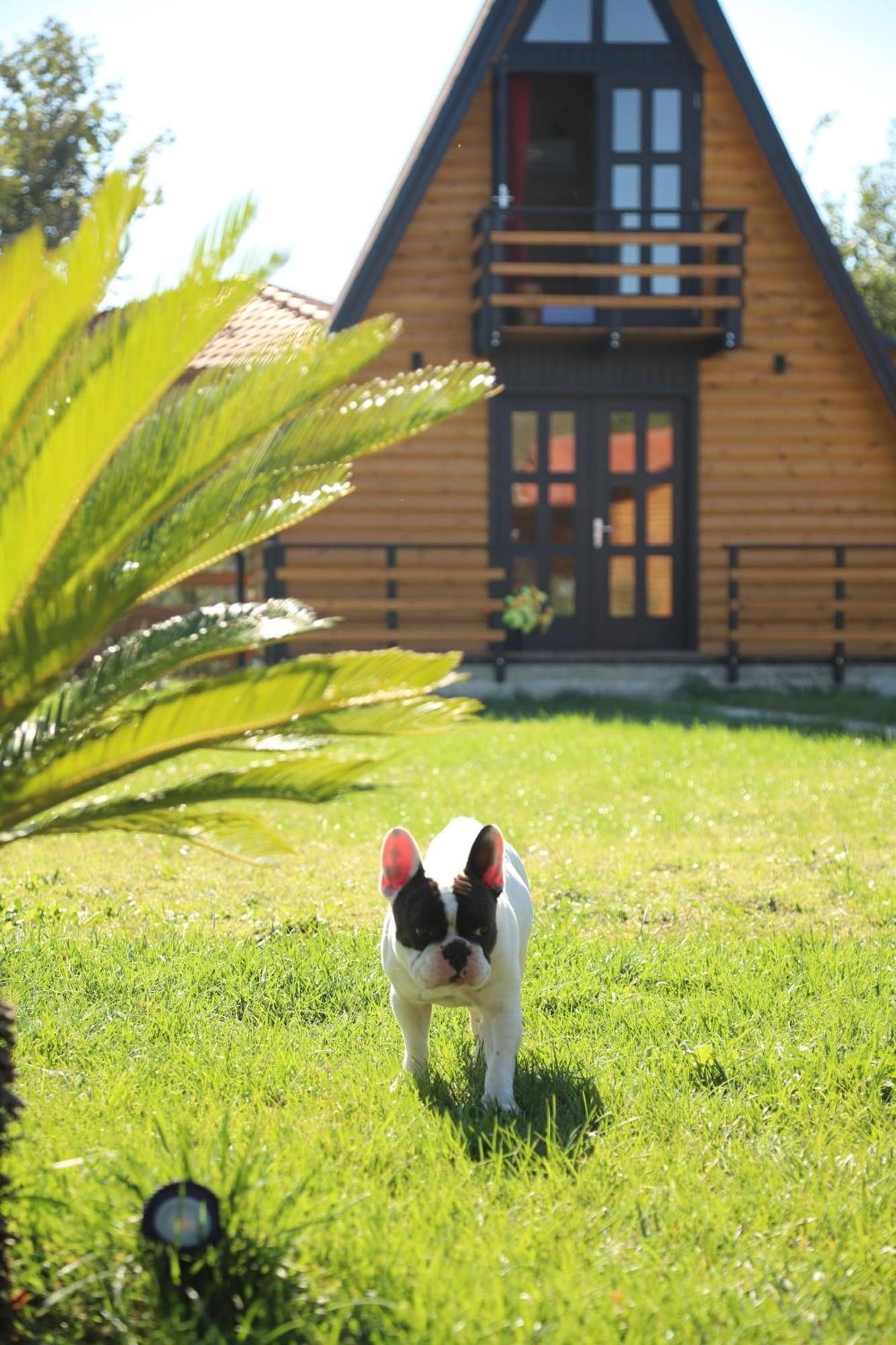 Вилла Sancho Farm Albania Memaliaj Экстерьер фото