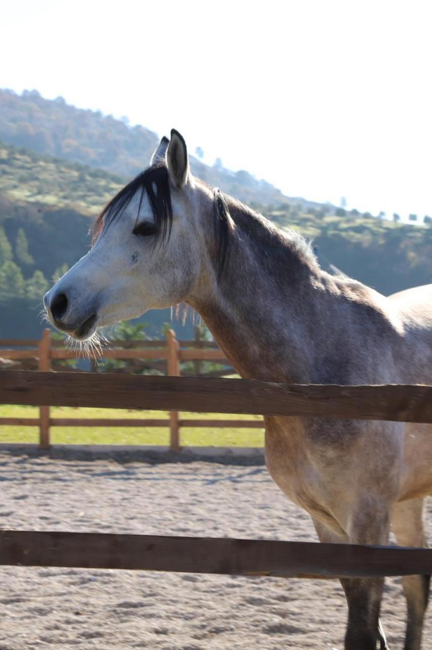 Вилла Sancho Farm Albania Memaliaj Экстерьер фото