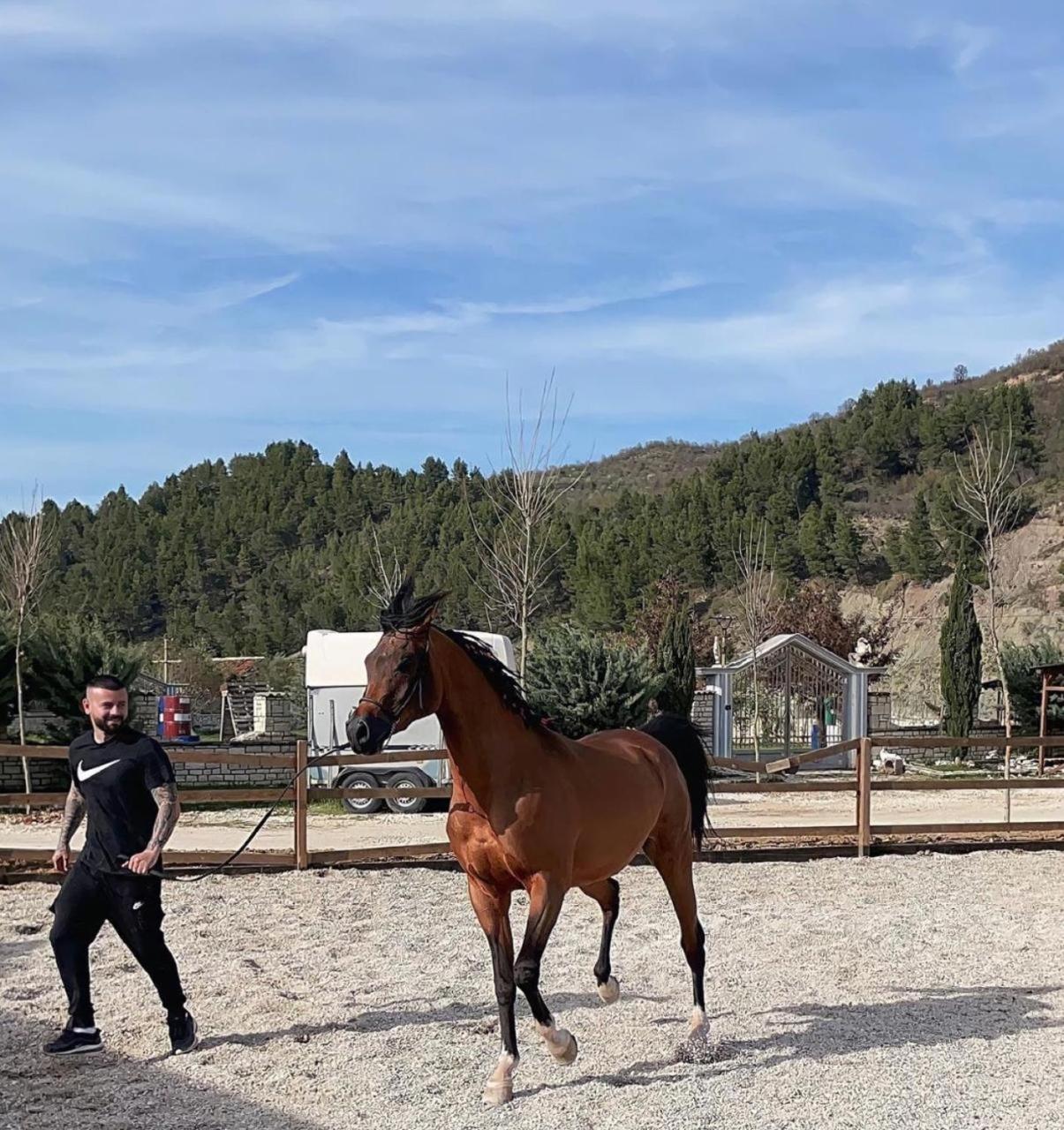 Вилла Sancho Farm Albania Memaliaj Экстерьер фото