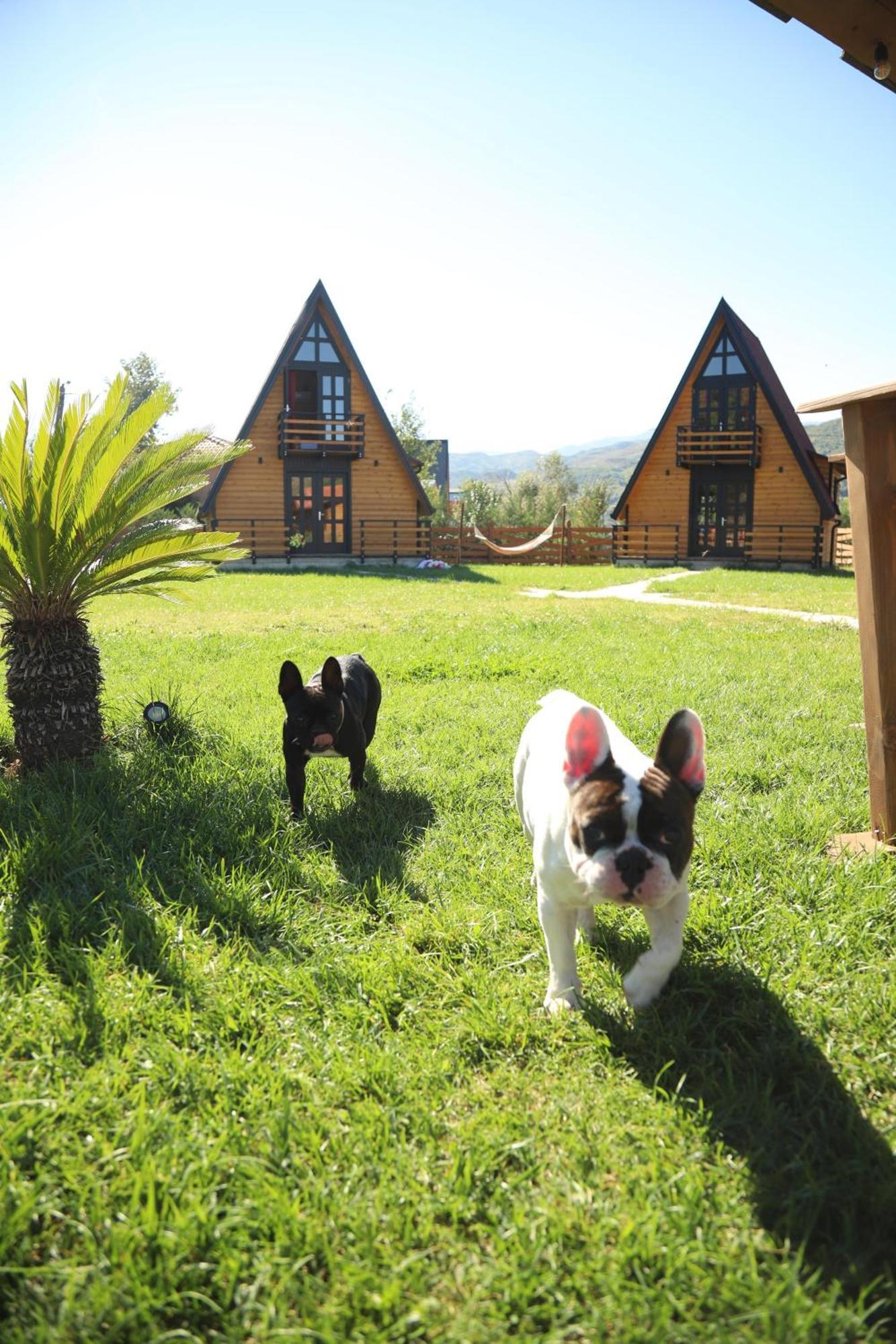 Вилла Sancho Farm Albania Memaliaj Экстерьер фото