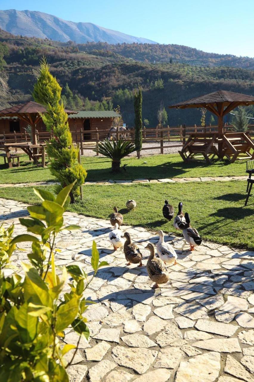 Вилла Sancho Farm Albania Memaliaj Экстерьер фото