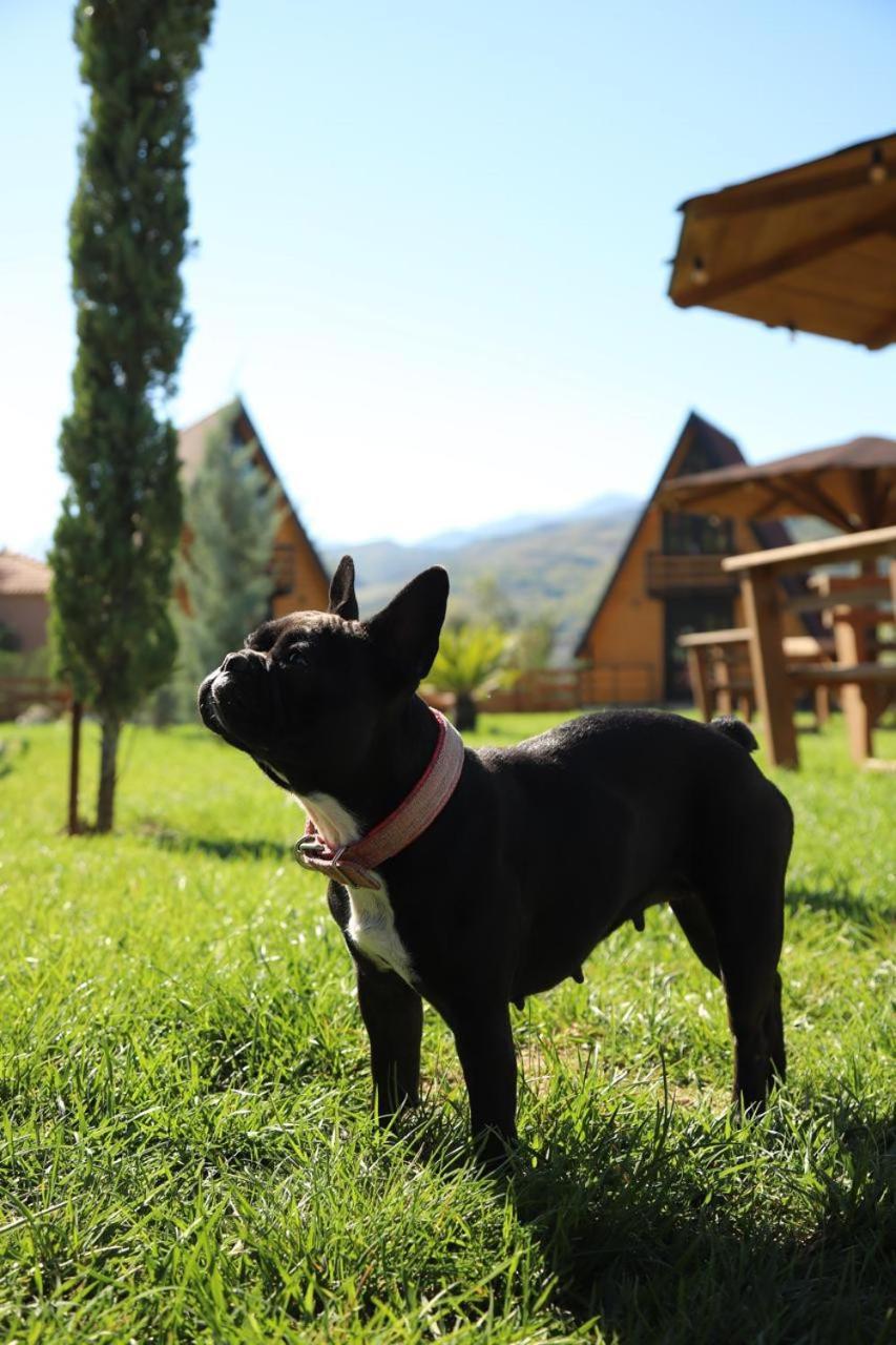 Вилла Sancho Farm Albania Memaliaj Экстерьер фото